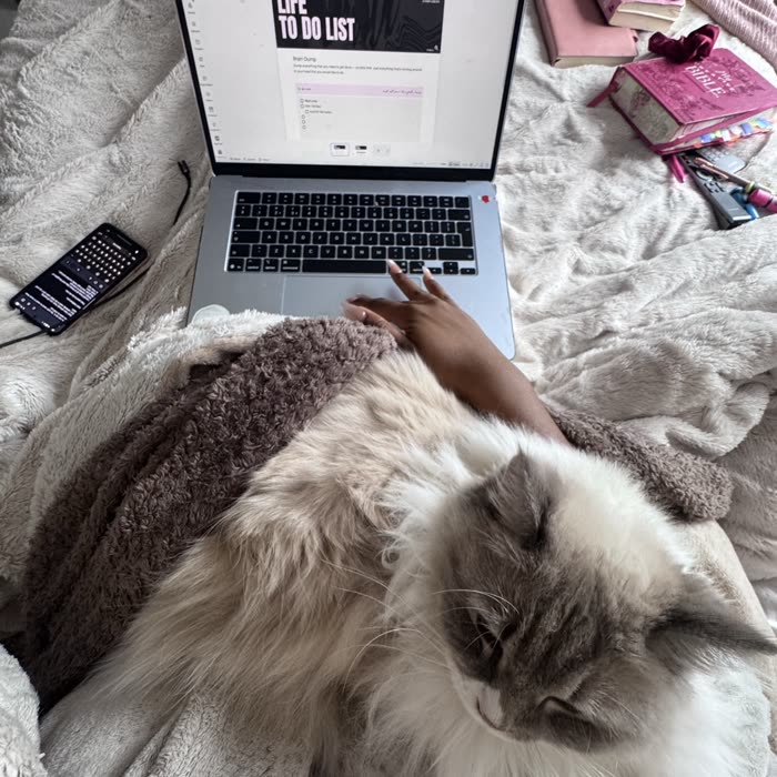 Chanel, a fluffy grey and white cat, asleep on Steph's lap in front of her laptop